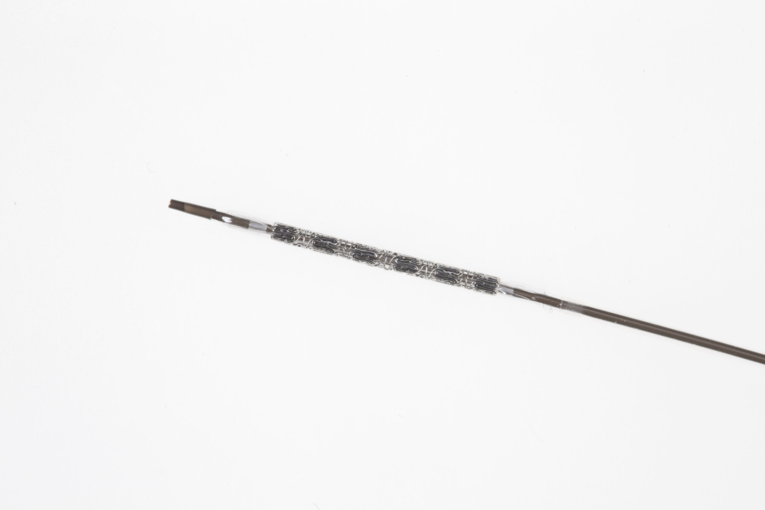 stent
