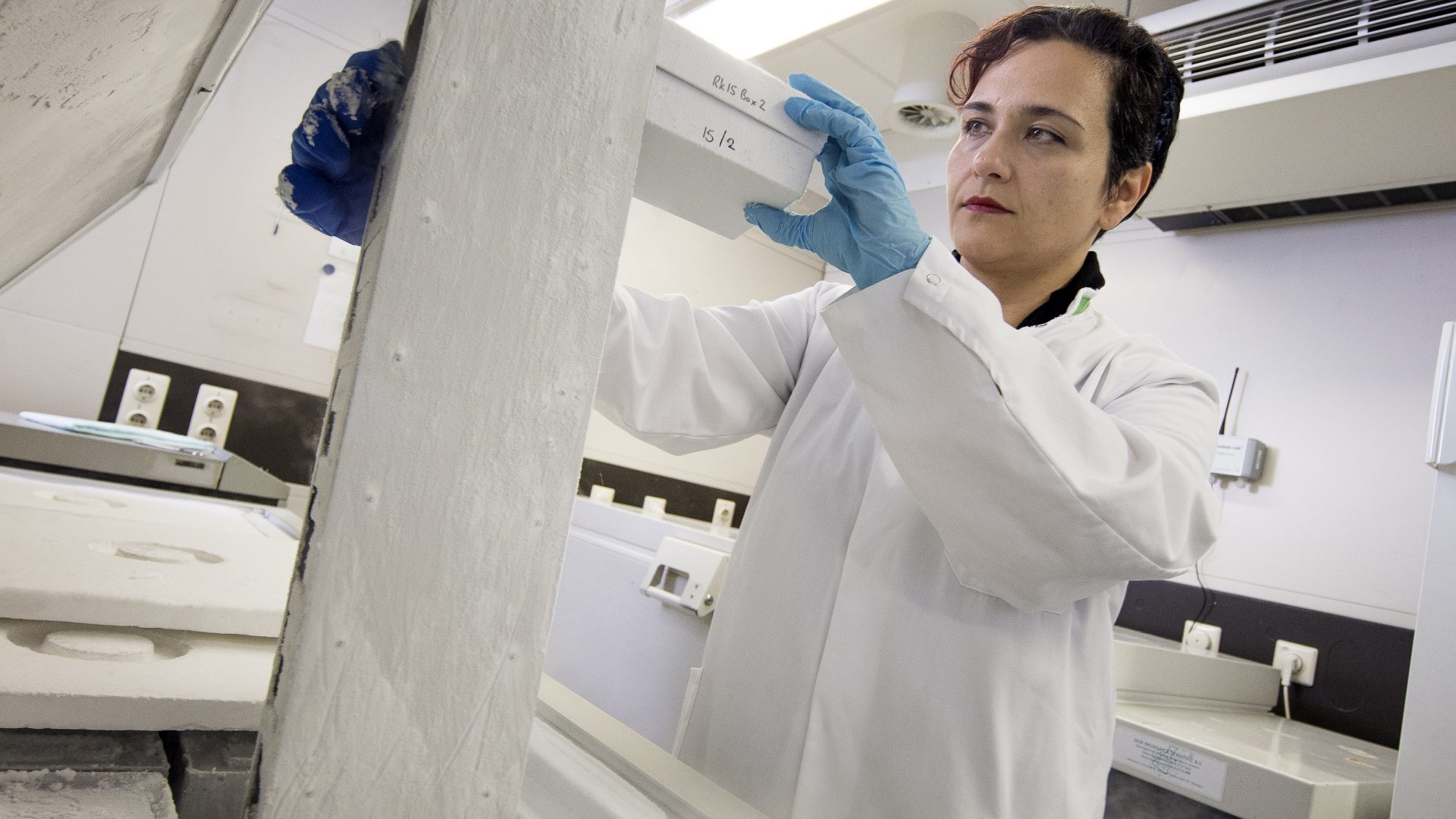 Tokameh-Mahmoudi-1115-131