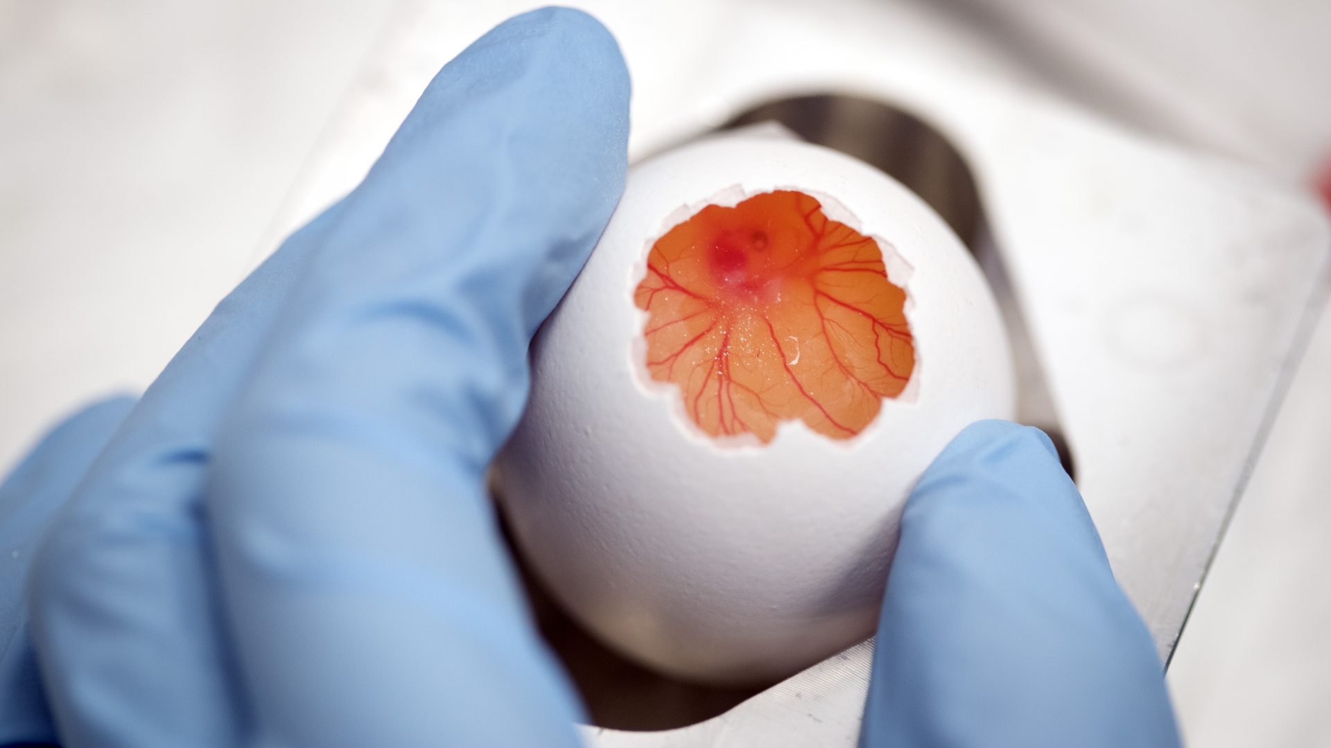 Klazina-Kooiman-met-Groep-in-Lab-0517-005