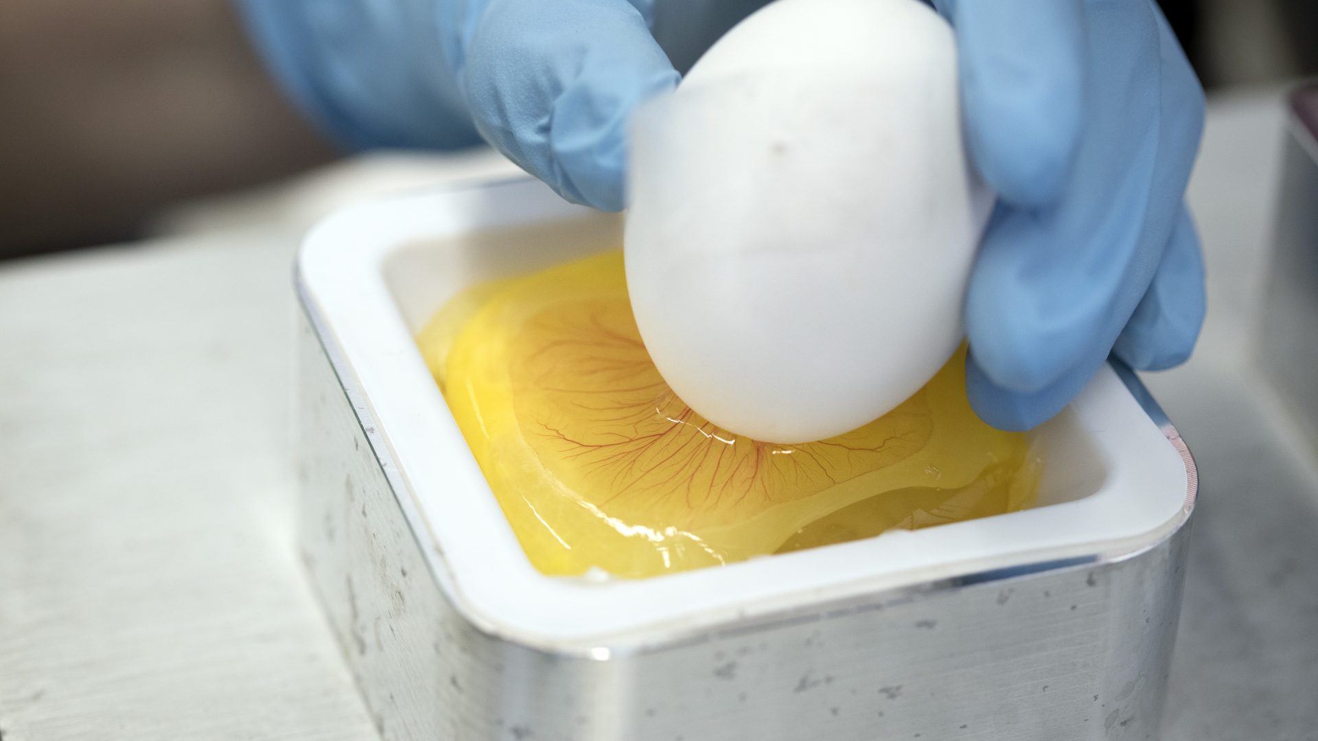 Klazina-Kooiman-met-Groep-in-Lab-0517-015