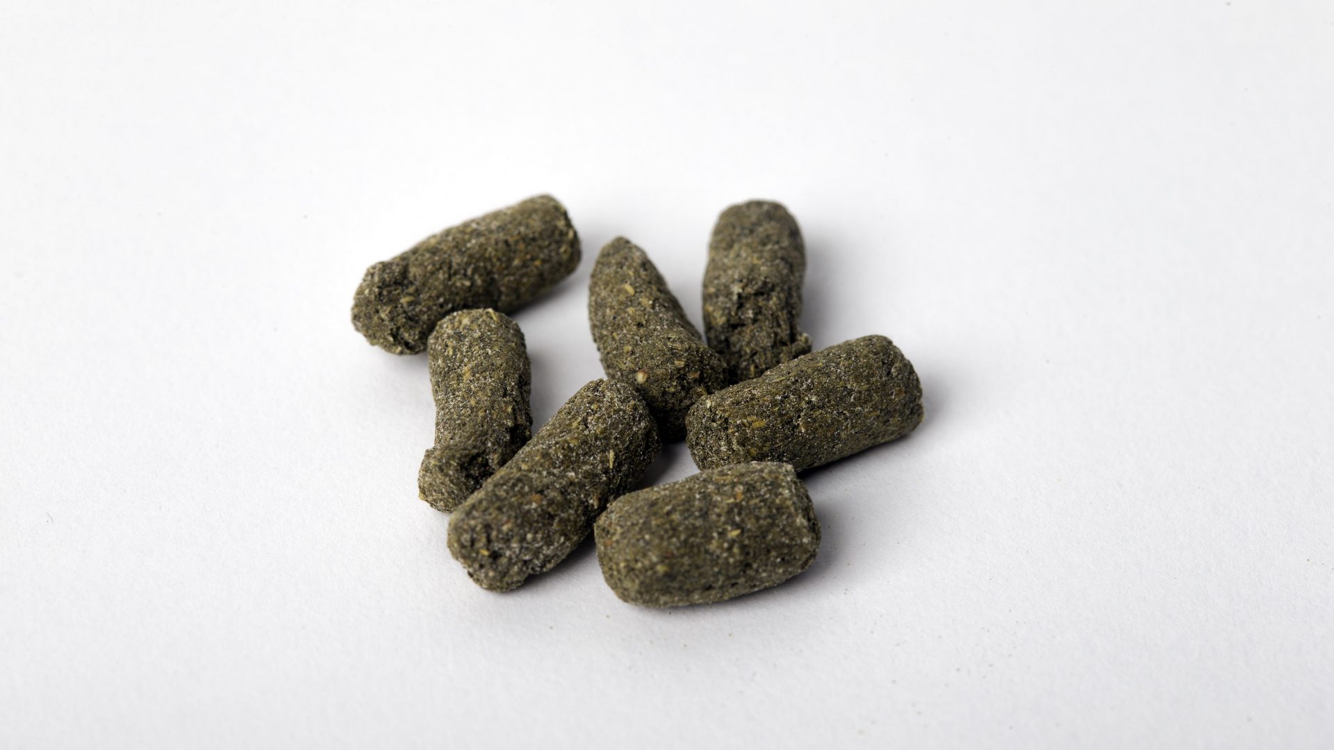 korrels voer voor muizen