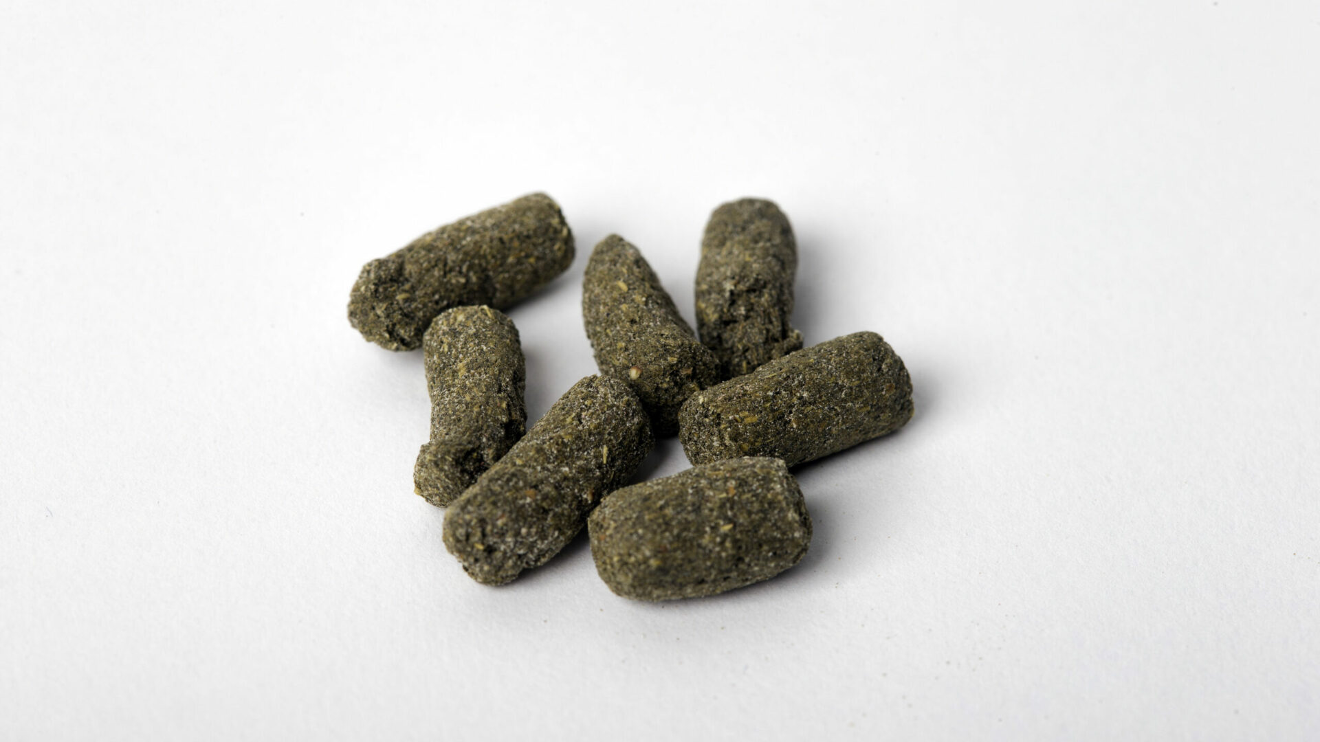 korrels voer voor muizen