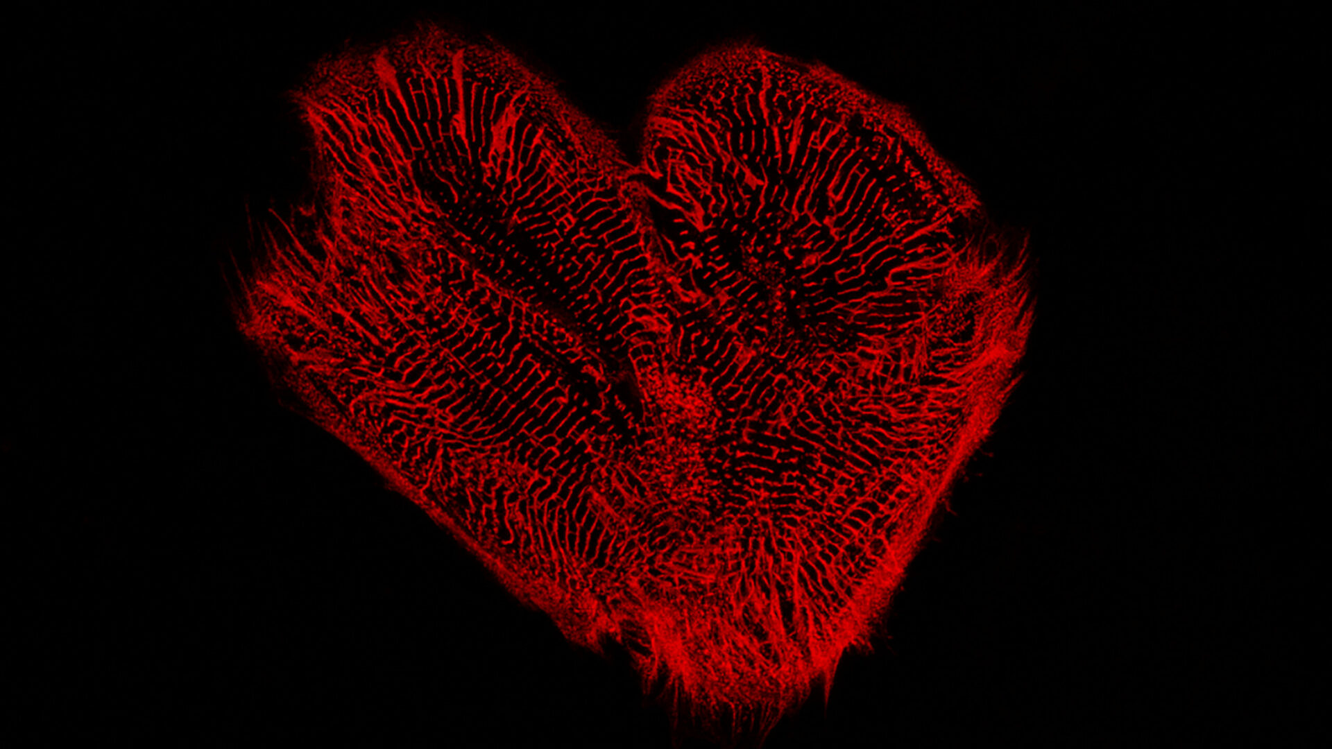 ImageJ=1.44ounit=inch