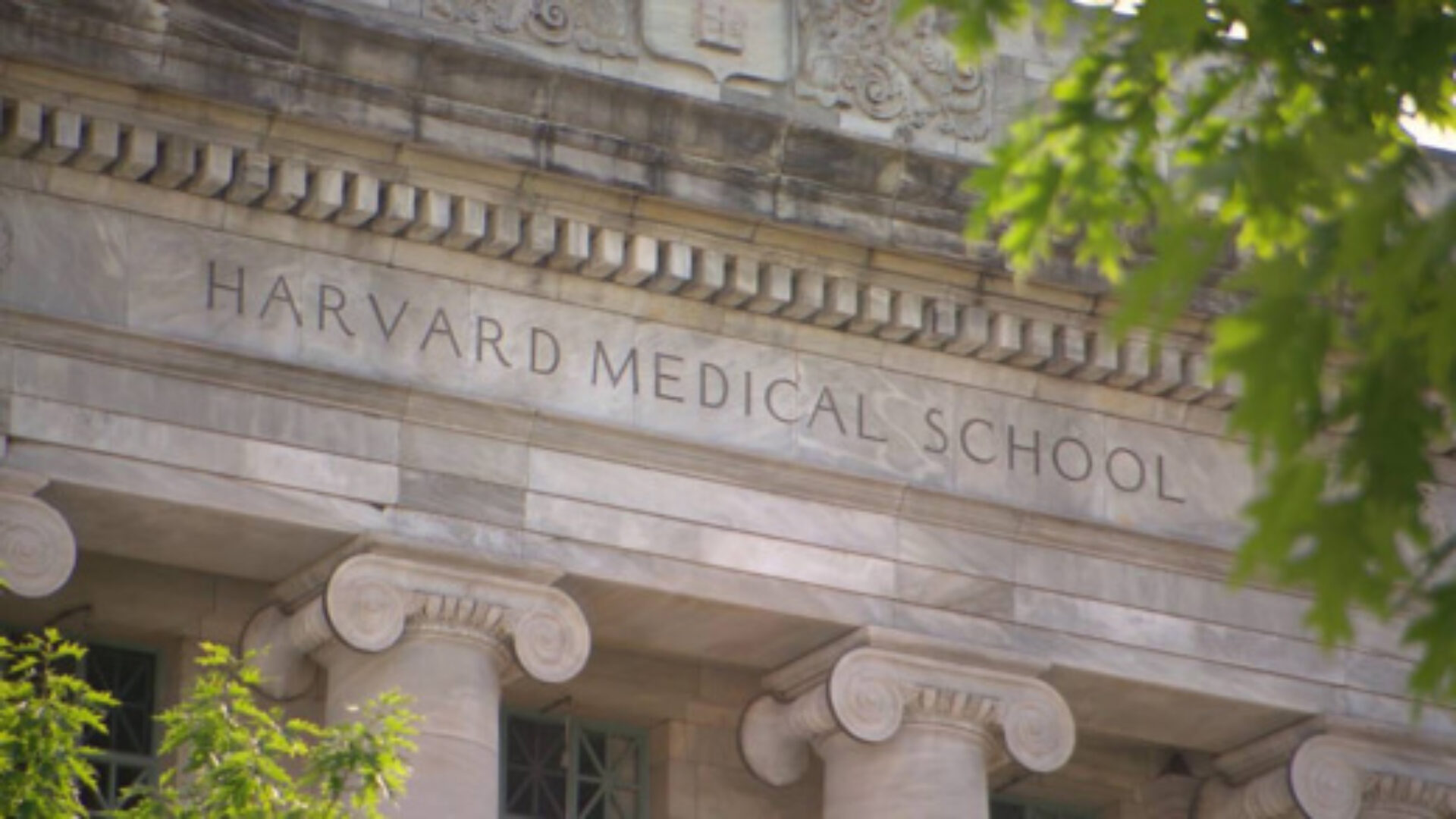 Harvard-Medical-School-intranet.200109