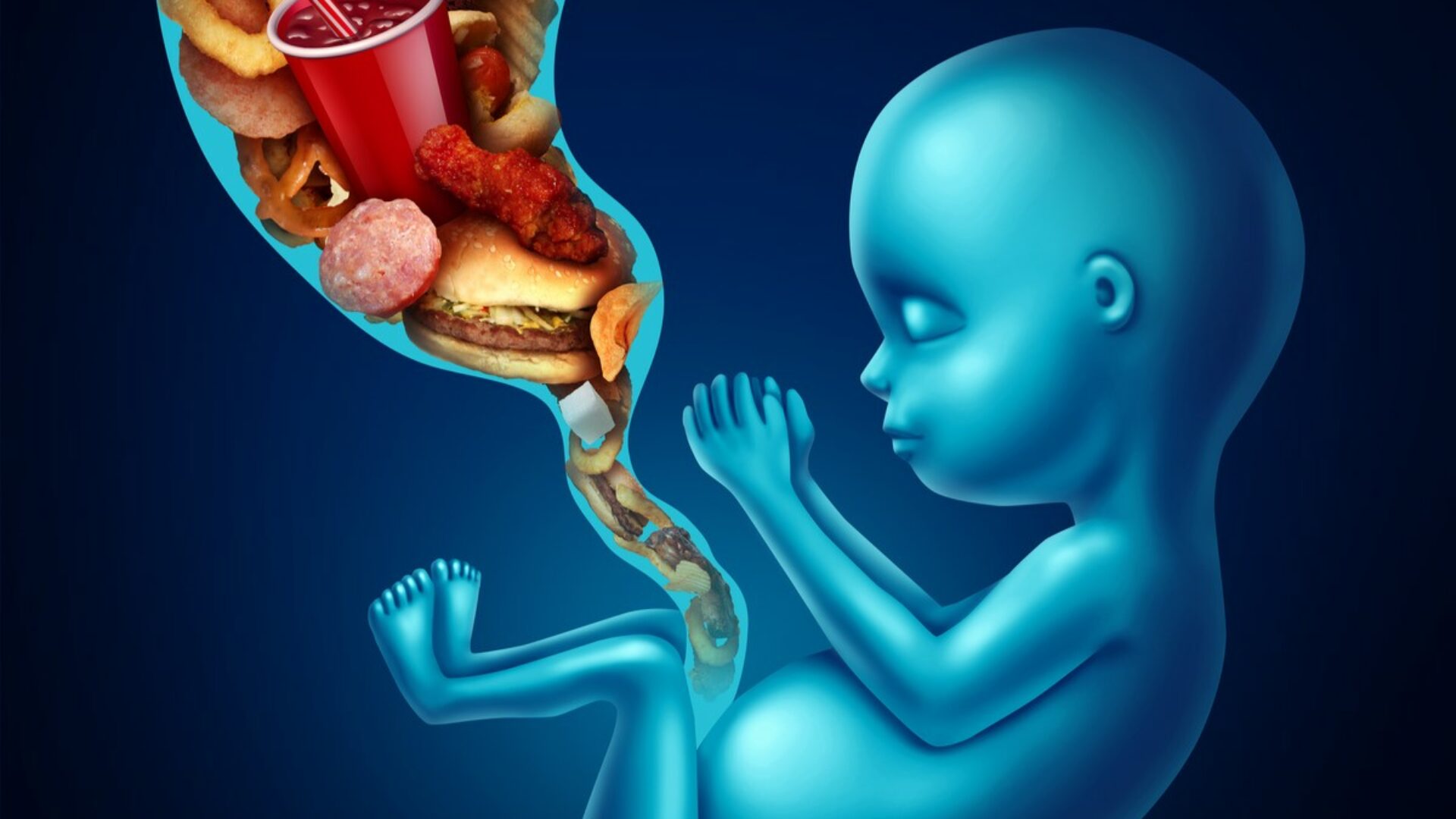 infographic van ongeboren baby