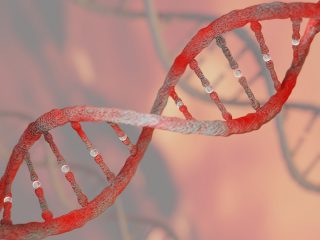 shutterstock_659631844