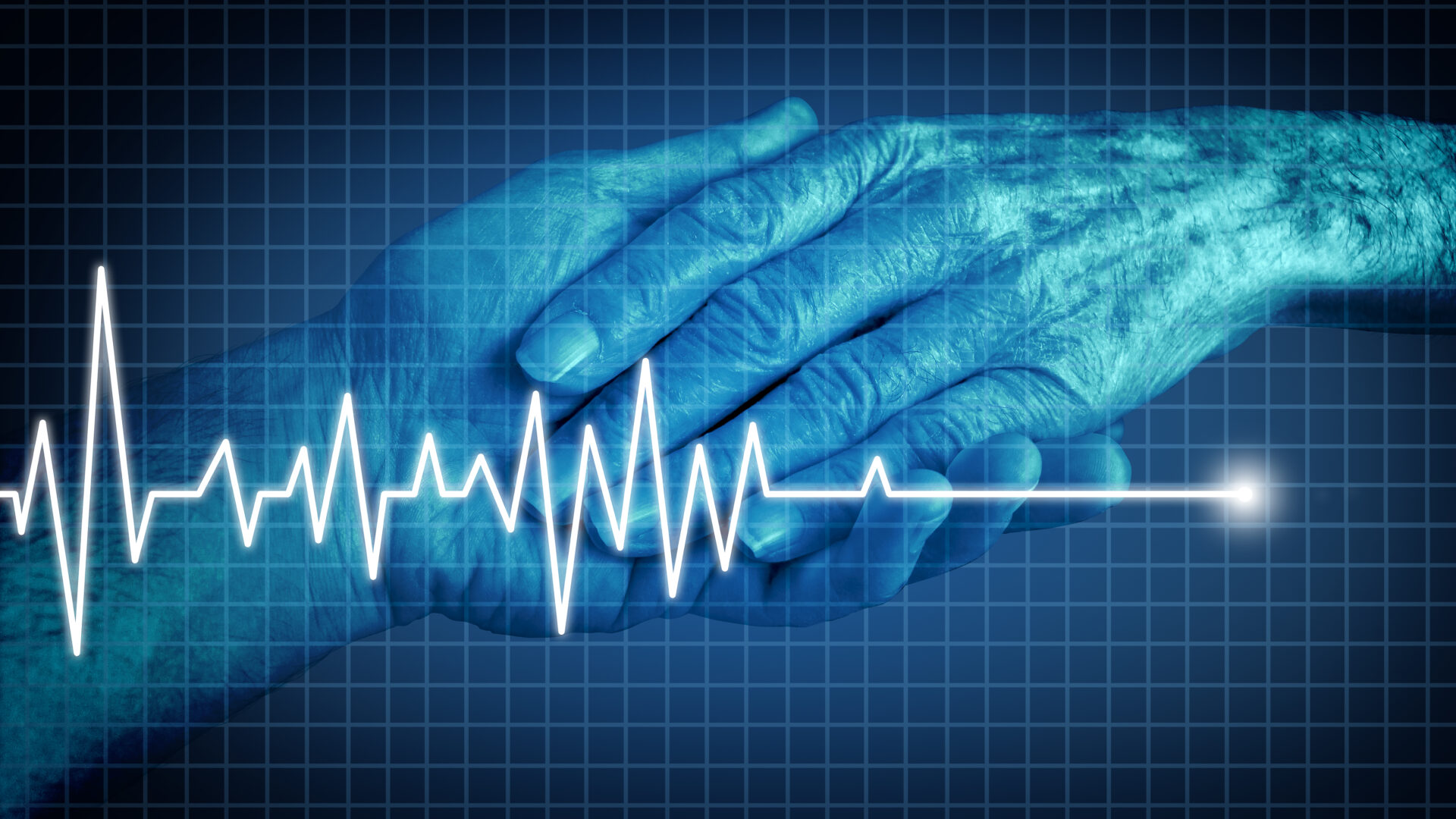 shutterstock_levertransplantatie-na-euthanasie