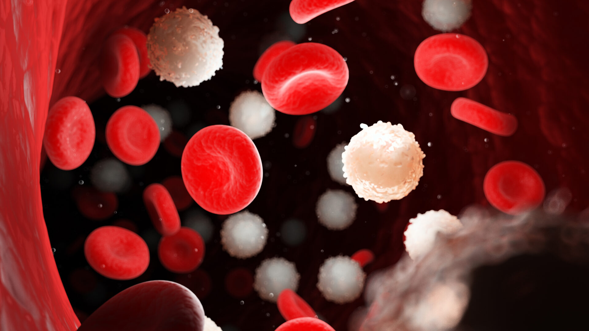 Leukemie-shutterstock