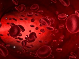 Rode-bloedcellen-bij-subsidie-Leebeek-shutterstock