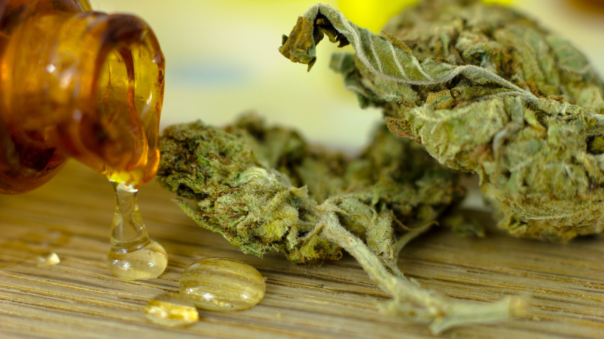 Gedroogde cannabis en wietolie op plank