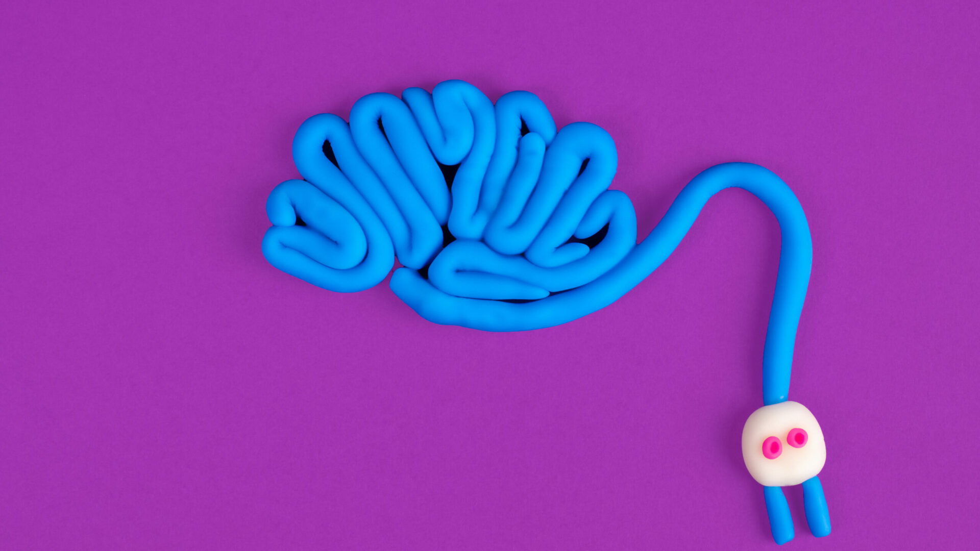 A,Human,Brain,With,A,Plug,Attached.,Concept,Of,Brain