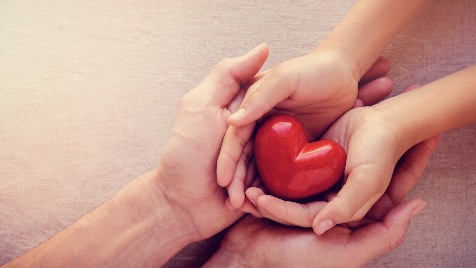 Adult,And,Child,Hands,Holding,Red,Heart,,Health,Care,Love,