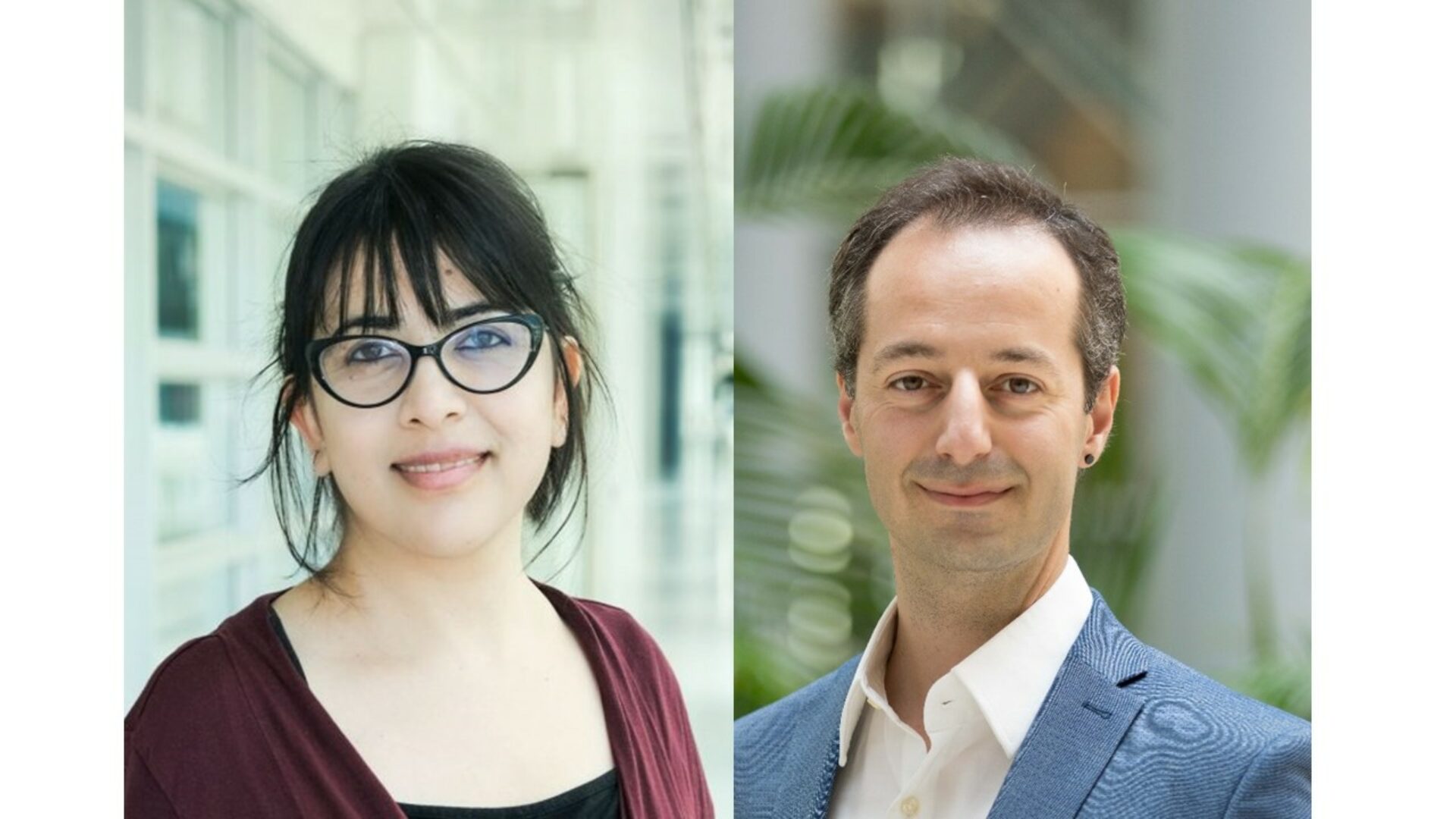 Taneja en Akyildiz ERC STG