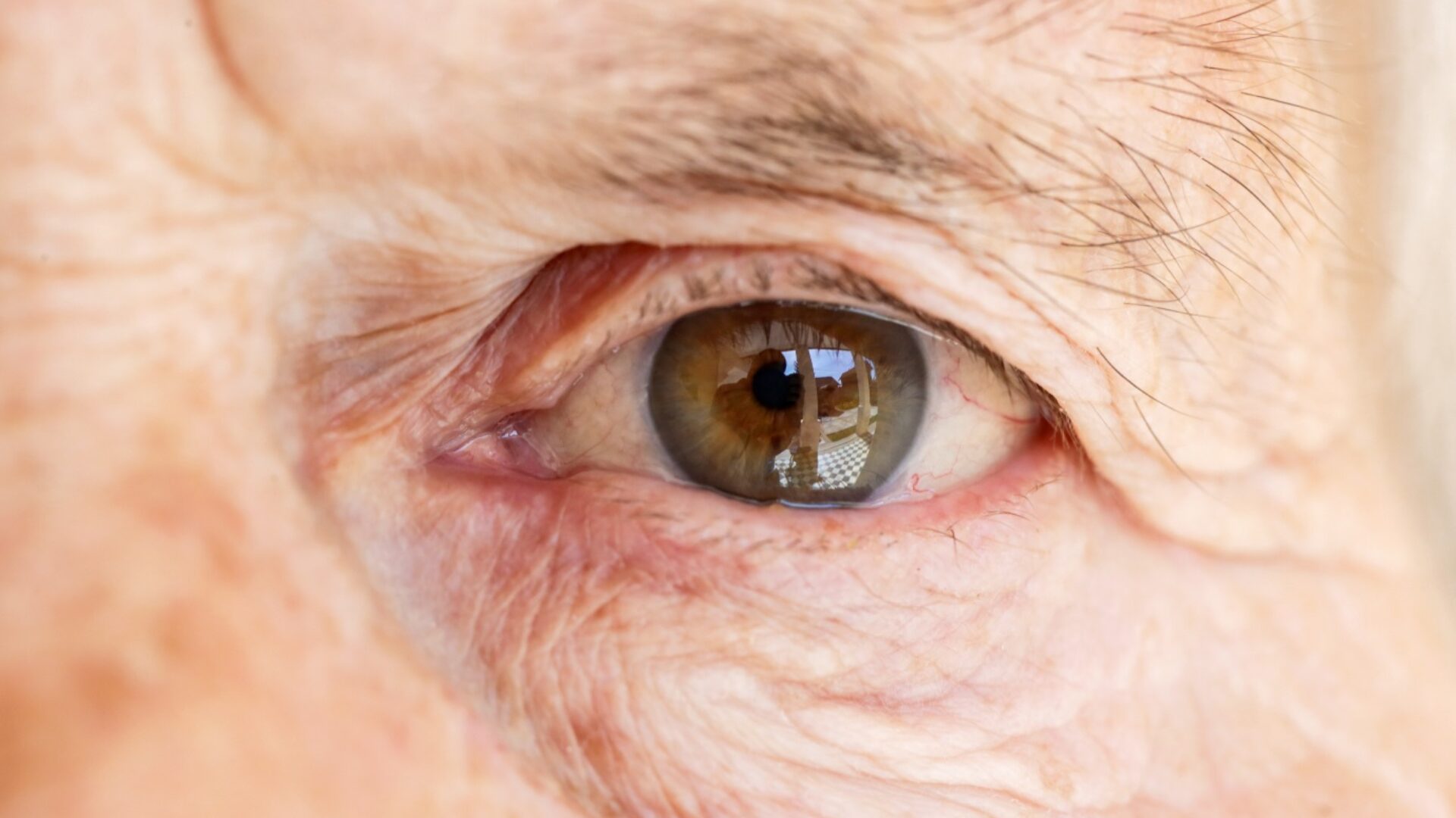 Oude gelaat spiegelt gezondheid Nijsten klein