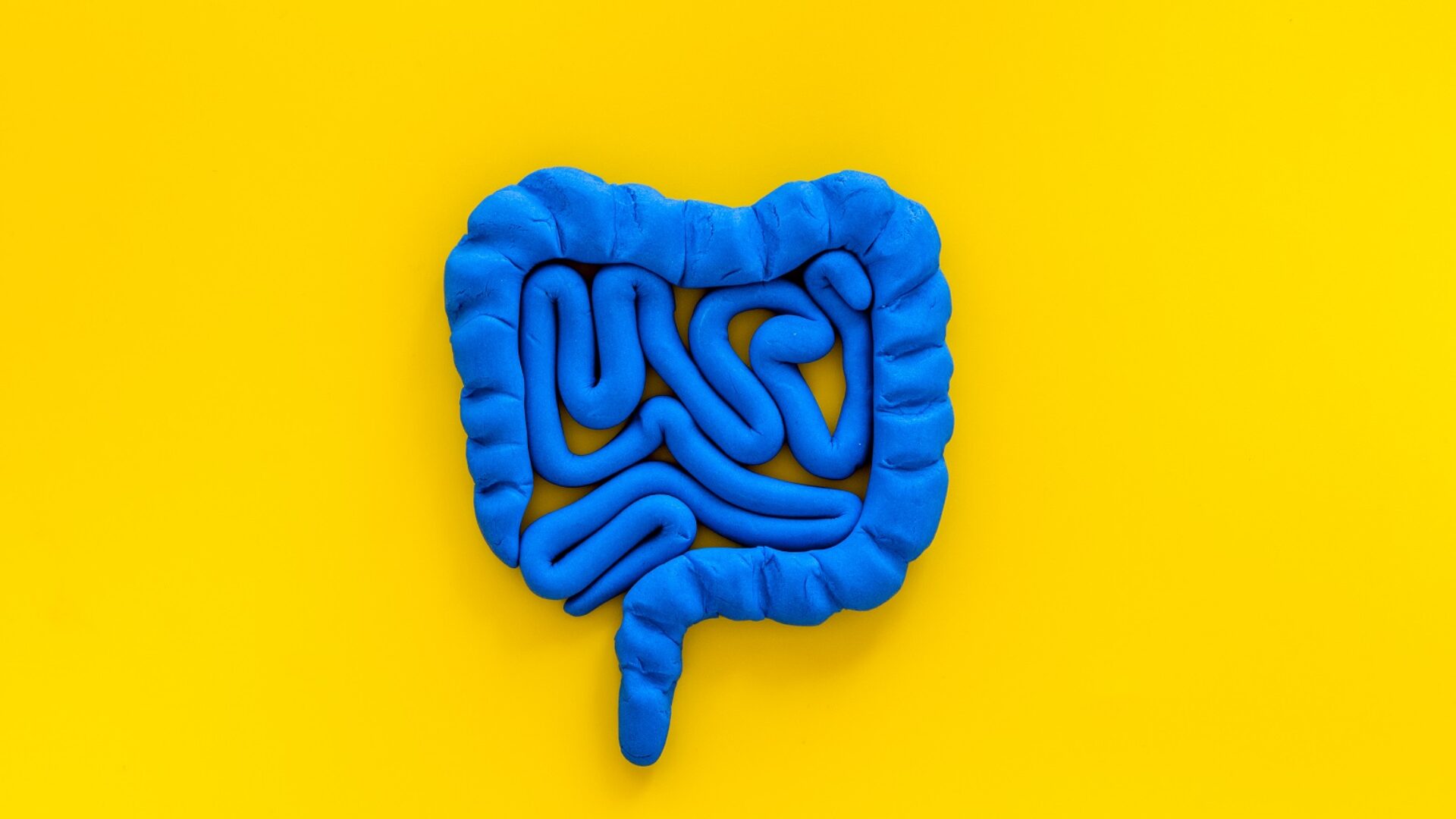 Intestines,Health.,Guts,On,Yellow,Background,Top,View,Copy,Space