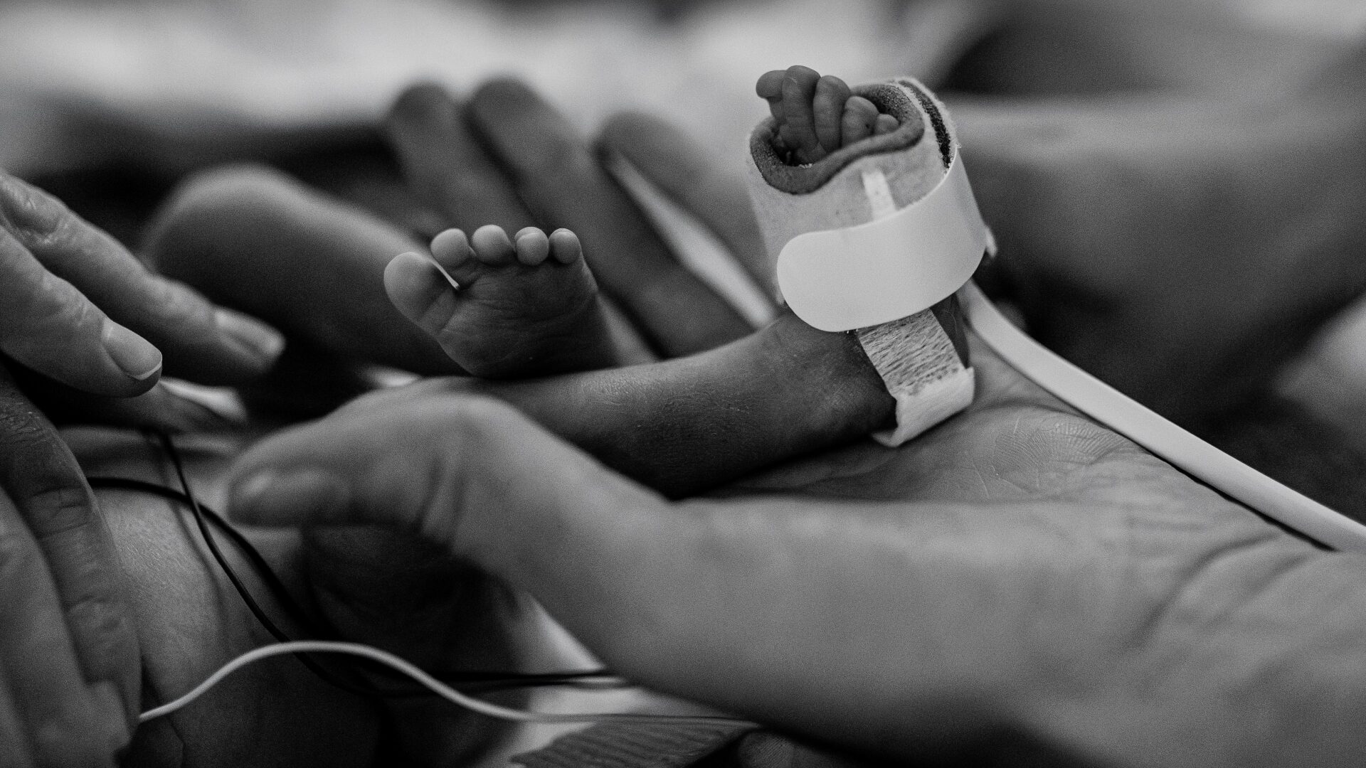 thesis&#8211;9 Naomi