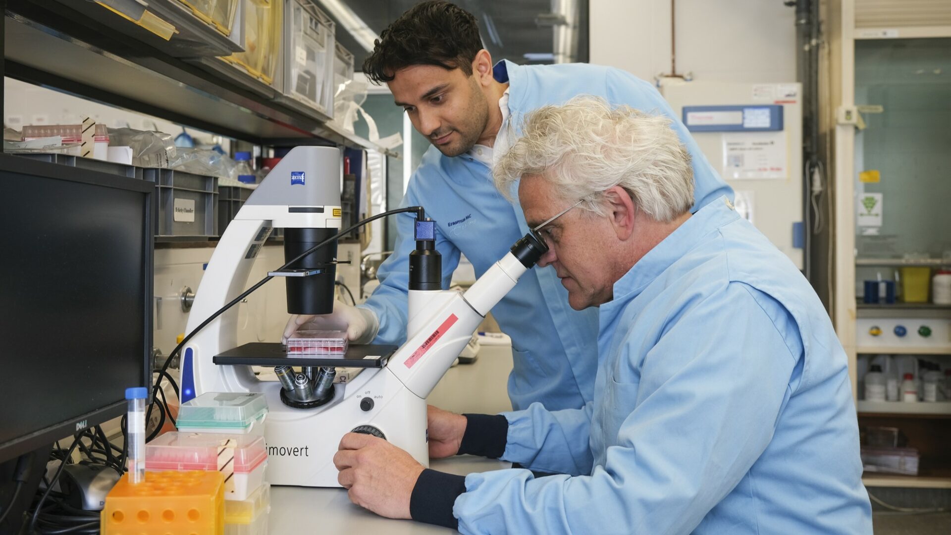 Seyar Rashidi-Georges_Verjans