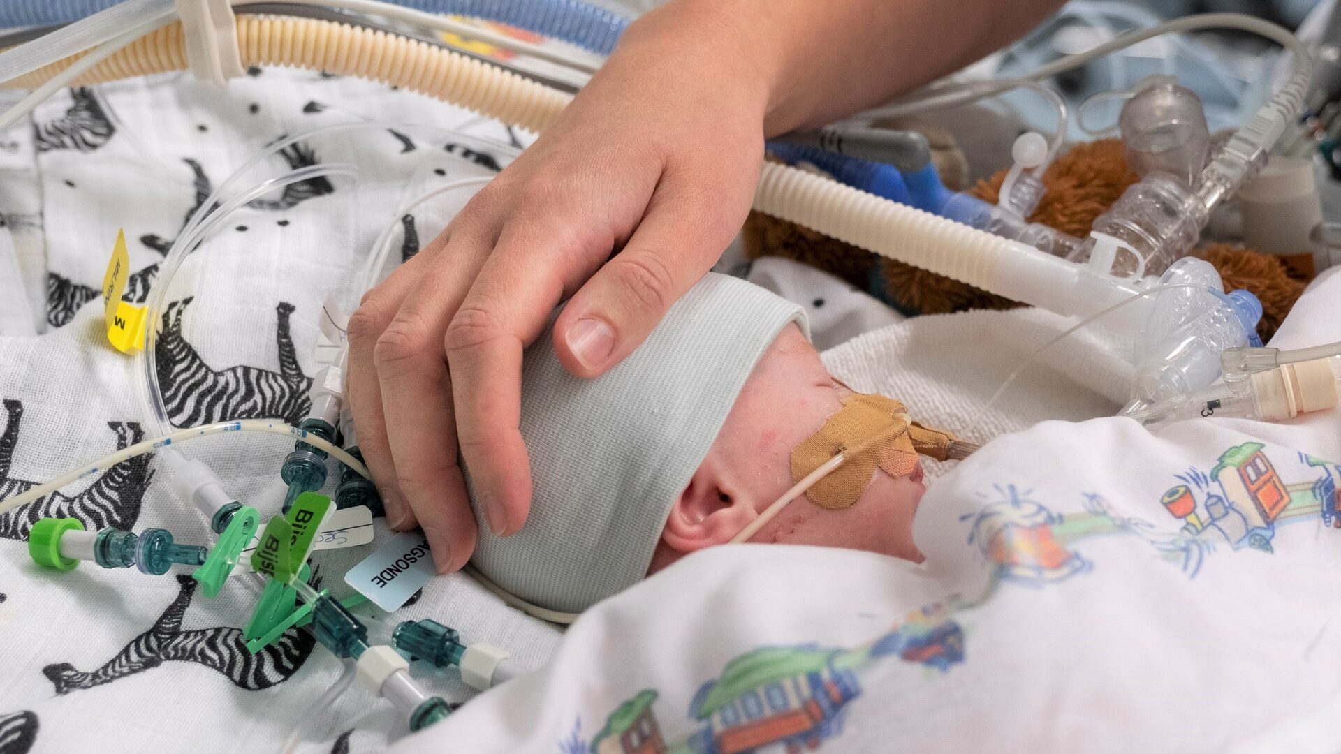 Sessie 2 Sophia Diversen Thorax 1020-084