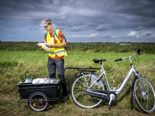 Ondergelopen polder helpt bij het bestrijden van muggen-overdraagbare ziekten