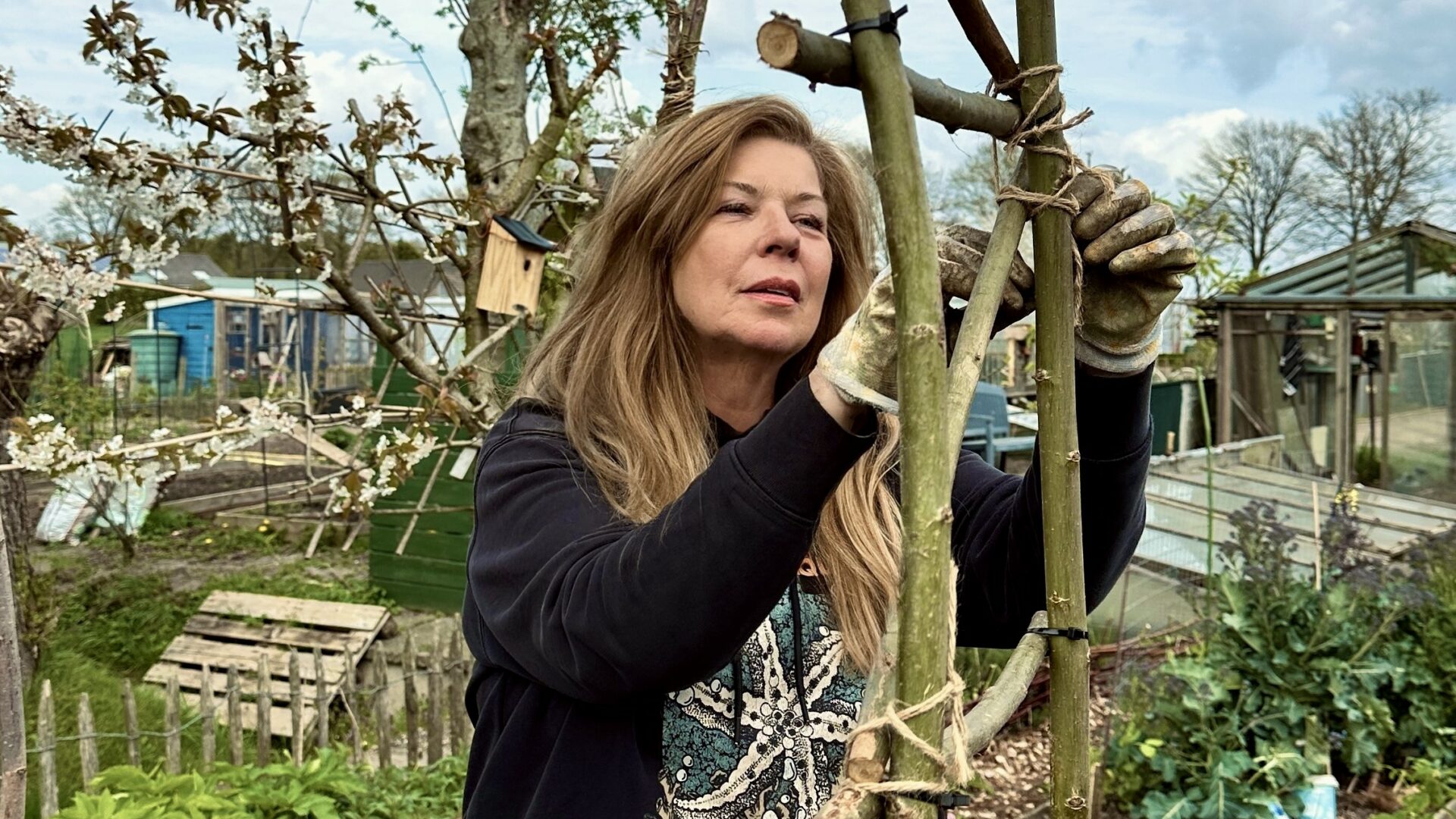 Yolanda Moekens polsoperatie