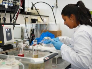 Madhavi Harhanghi gespiegeld