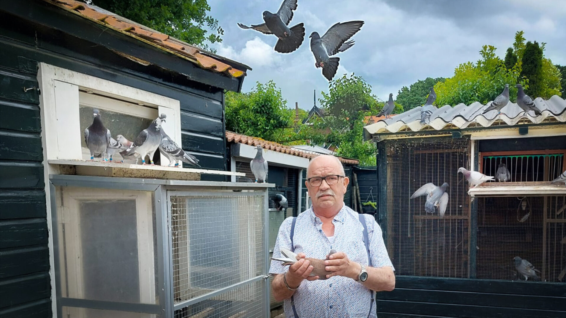 Amazing Virtual Ward Kees_van_den_Bos