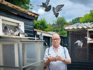 Amazing Virtual Ward Kees_van_den_Bos