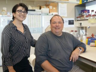 Nieuwe ontdekking: DNA beschermt zich in lusjes tegen stress