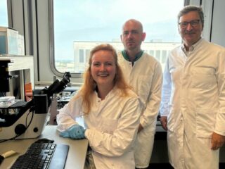 New cause found for von Willebrand disease