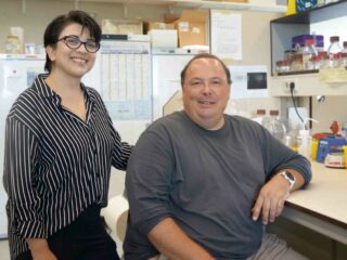 New discovery: DNA protects itself in loops under stress